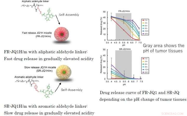 Nanomedicine Activation Profiles: Impact on Efficacy in c-Myc‑Positive Tumors