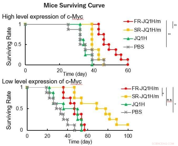 Nanomedicine Activation Profiles: Impact on Efficacy in c-Myc‑Positive Tumors