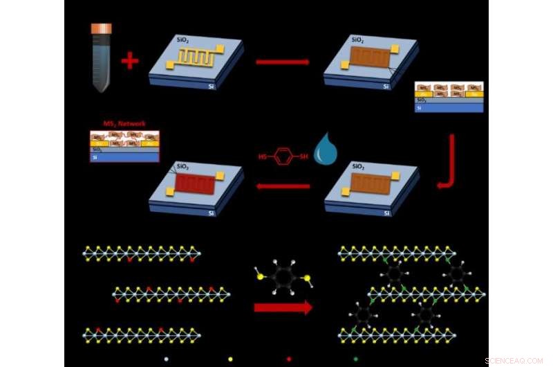 Molecular Bridges Enhance Conductivity in Printed Electronics