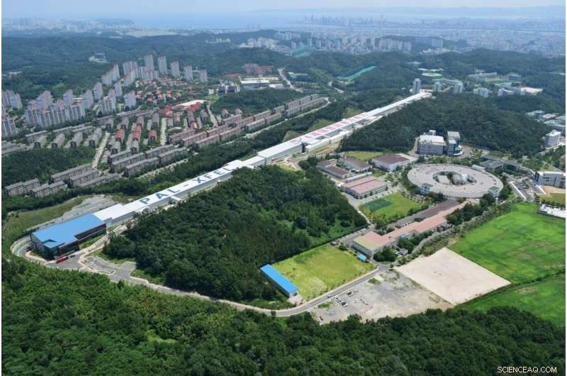 Revolutionary 3‑D Imaging of Viruses Using Instantaneous XFEL Light and AI