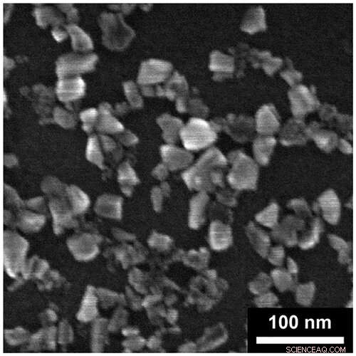 Successful Injection of Fluorescent Nanodiamonds into Living Cells for Long-Term Imaging