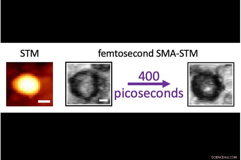Affordable, Non‑Toxic Carbon Nanodots Set to Become Tomorrow’s Quantum Dots