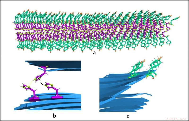 Revolutionary Nanoenzymes: Miniature Biostructures Mimic Natural Enzymes for Dual, Reversible Functions