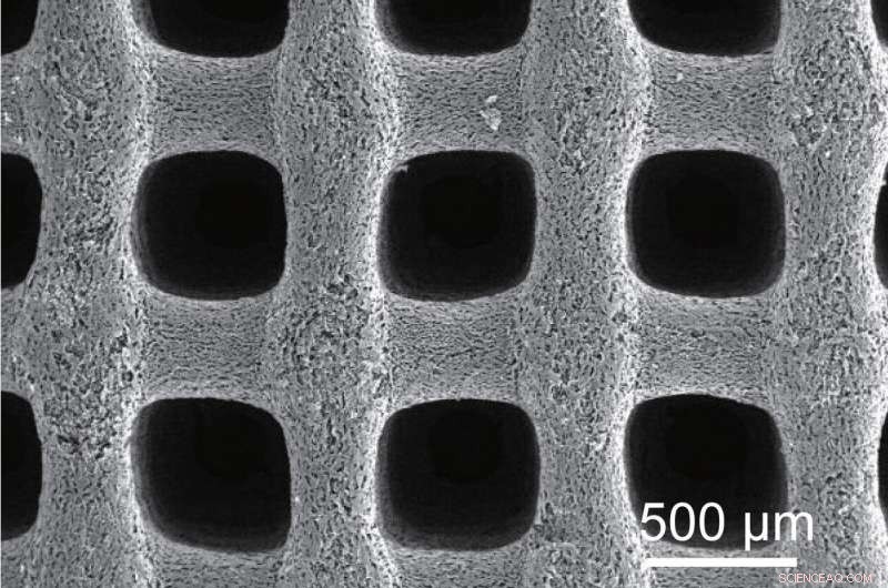 Porous Carbon Aerogel Supercapacitors: Ultra‑Low‑Temperature Power for Mars and Polar Missions