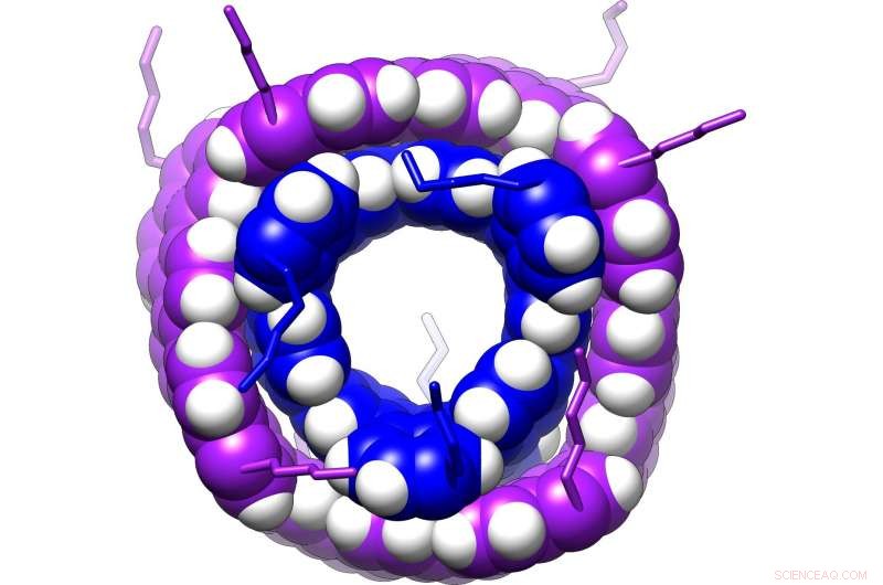 Scientists Create Moiré Carbon Nanotube Patterns to Advance Materials Research