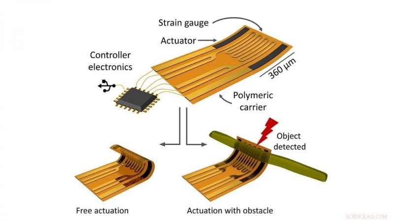 Adaptive Microelectronics Enable Self-Reshaping, Damage-Free Bio-Neural Interfaces