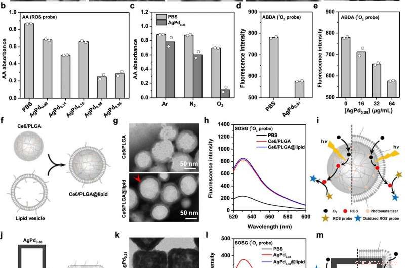 Effective Nanozymes Developed to Combat Antimicrobial Resistance