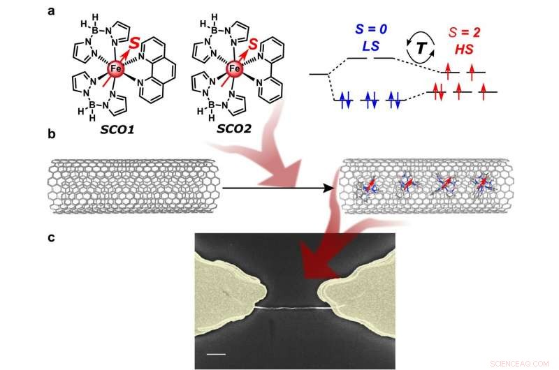 Scientists Build the Smallest Spin‑Switch Cable Using Carbon Nanotubes