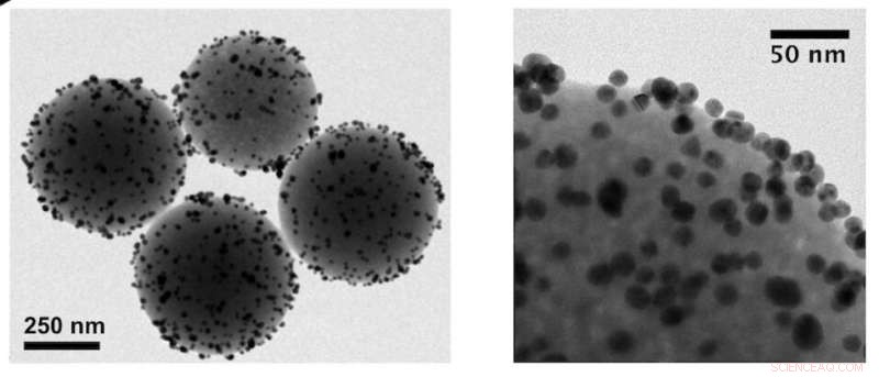 In Vivo Observation of Coordinated Nanorobot Swarms