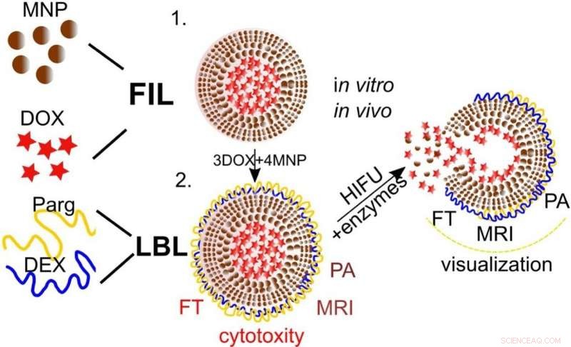 Magnetically Guided, Fluorescent Nanoparticles Deliver Targeted Chemotherapy Directly to Tumors