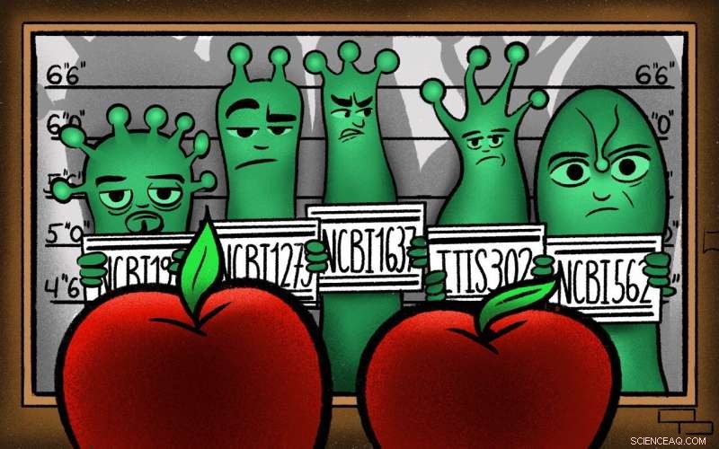 Rapid Silver Nanoparticle Sensors Detect Pesticide Residues on Produce