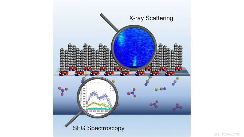 Researchers Uncover Key Insights into Recycling Nuclear and Electronic Waste