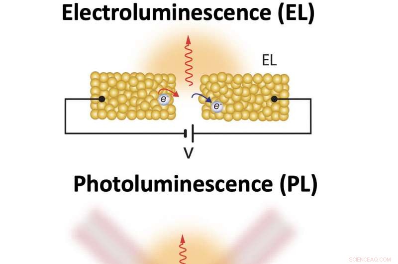 Combining Electric Current and Laser Light in Gold Nanogaps Amplifies Photon Output