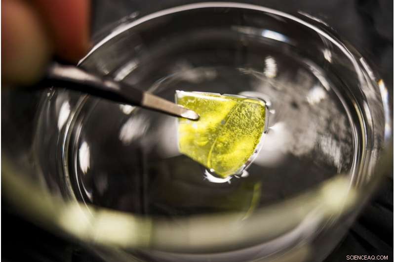 Innovative Porous Silicon Carbide Material Promises Efficient Solar‑Driven Hydrogen Production