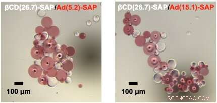 Osaka University Scientists Engineer Tunable Microparticles for Self-Assembling Macrostructures