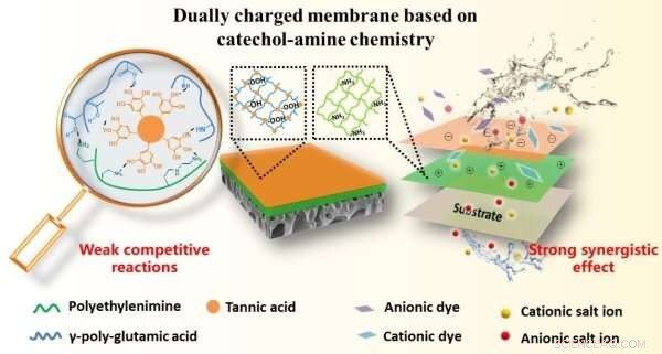 Advanced Dual‑Charge Nanofiltration Membrane Enables Superior Dye/Salt Separation