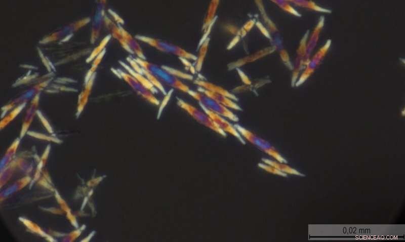 Innovative Capsule Design by Russian Scientists Enhances Targeted Drug Delivery