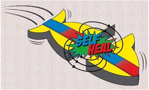 Self‑Healing Swimmers: Small Magnetic Robots That Reassemble After Damage