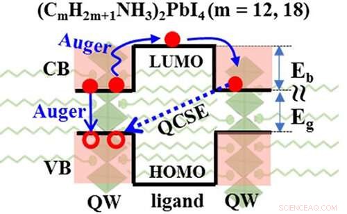 New Insight: Auger-Driven Electron Transfer in Adjacent Quantum Wells of 2D Layered Perovskites