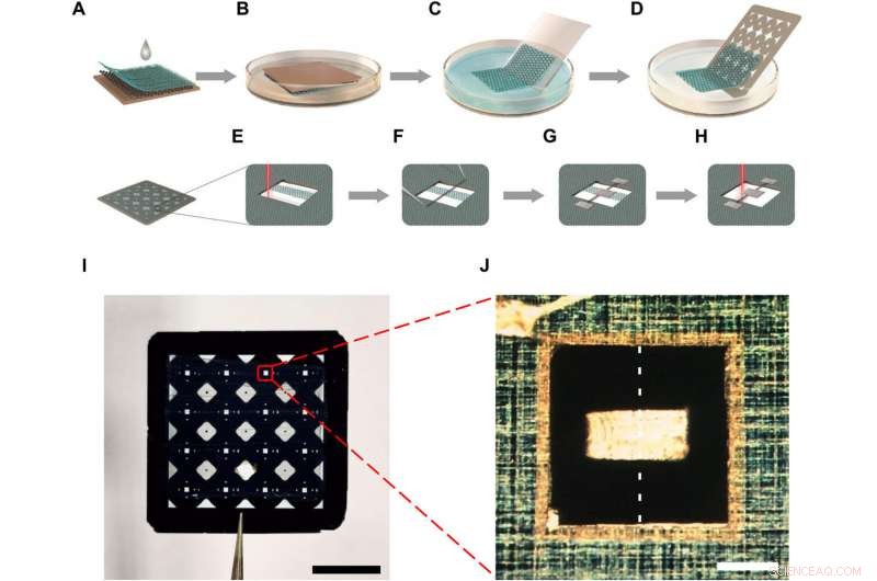 Ultra‑Sensitive On‑Chip Torsion Balance Achieves Femtonewton Force Resolution at Ambient Temperature
