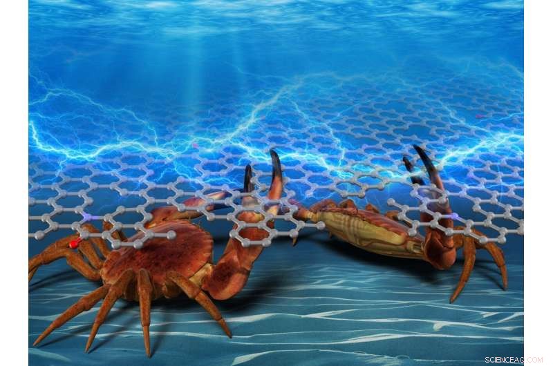 Crab Shells Power Sustainable Electronics: Innovative Nanocarbon Materials for Energy Storage and Photosensing