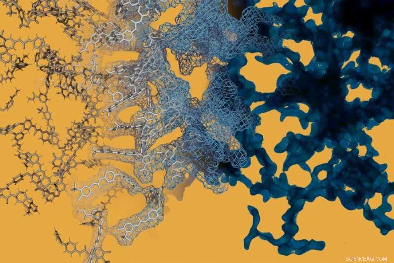 Harnessing Big Data to Enhance Small-Molecule Drug Development