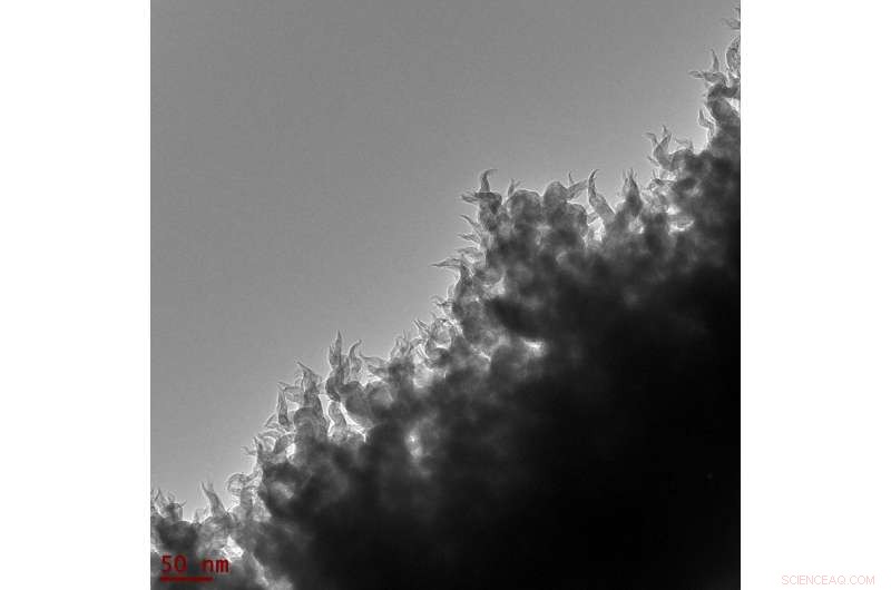 ORNL s Carbon Nanospike Electrocatalyst Splits Water and CO₂ to Produce Heavier Nanocarbons