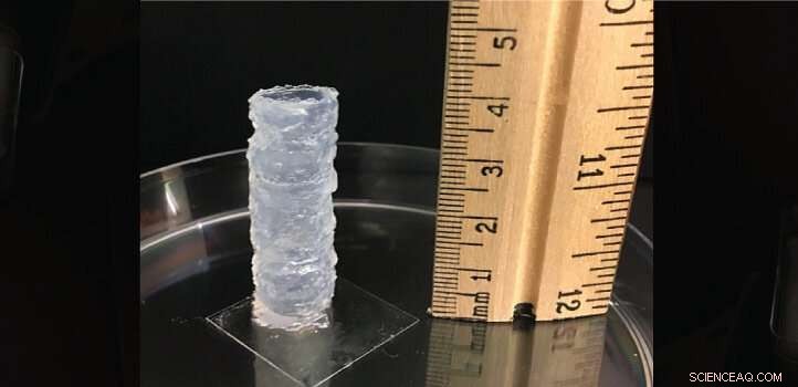 Ultrashort Peptides Pave the Way for Next‑Gen Tissue Engineering