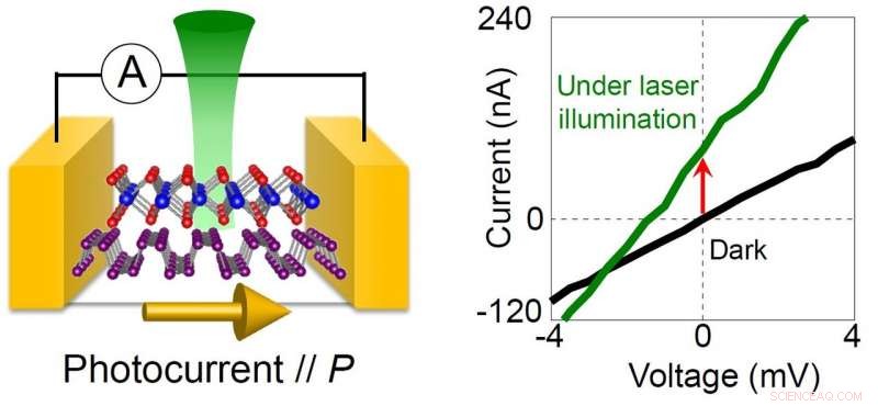 Combining WSe2 and Black Phosphorus Creates Polarization and Photovoltaic Effect in 2D Materials