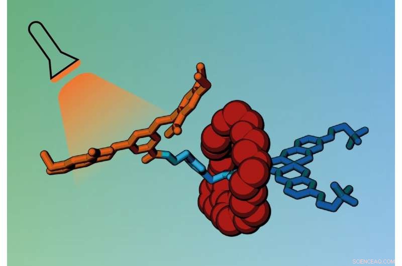 Light-Activated Molecular Cages Promise Targeted Cancer Drug Delivery