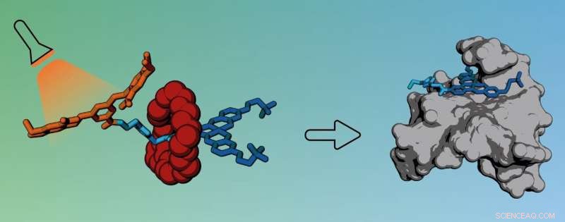 Light-Activated Molecular Cages Promise Targeted Cancer Drug Delivery