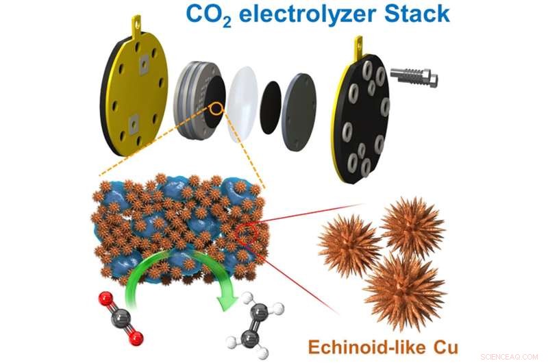 Pioneering Large-Scale CO₂ Conversion: Key Technology for Carbon Neutrality