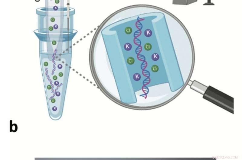 Glass Nanopore Technology Enables Precise DNA Extraction for Sequencing