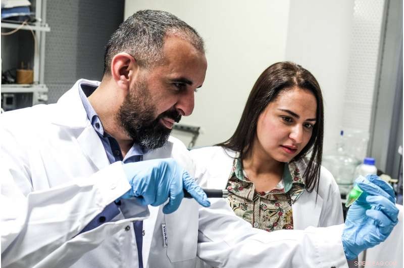NYU Abu Dhabi Scientists Pioneer Oral Insulin Delivery System