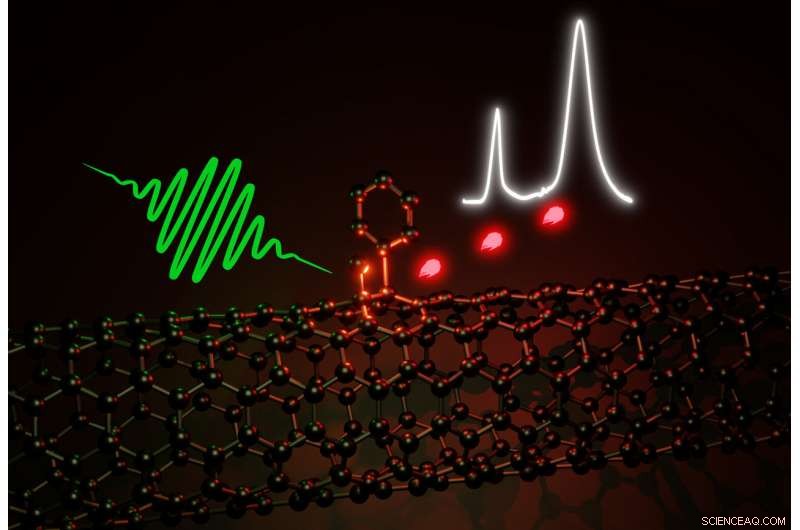 Enhancing Carbon Nanotubes with Optically Active Defects for Single-Photon Emission