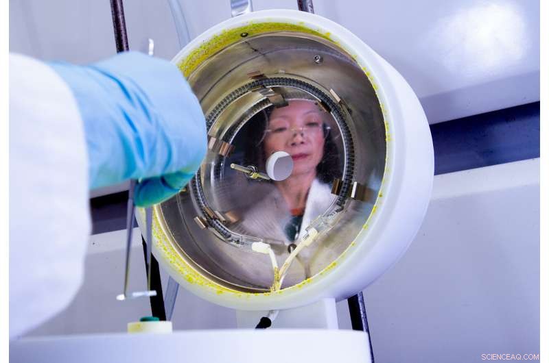 Human Hair-Derived Carbon Dots Boost Solar Cell Efficiency