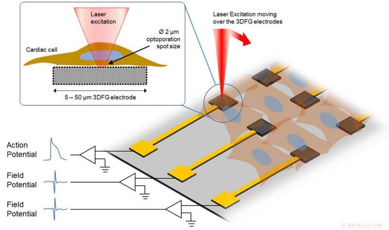 Revolutionizing Intracellular Recordings with 3DFG Electrodes