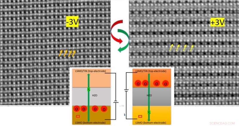 Oxygen Migration Drives Nanoscale Ferroelectricity