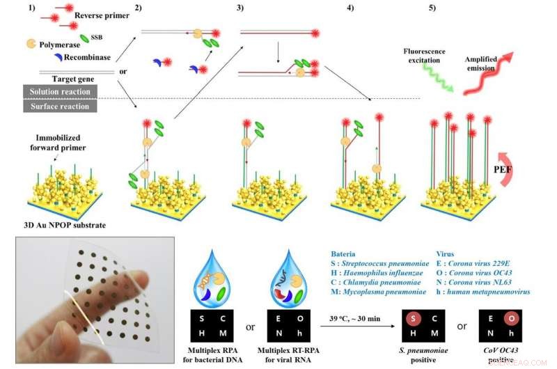 On‑Site Detection of Respiratory Viruses, Including SARS‑CoV‑2, Made Simple with Innovative Nanofilm Technology
