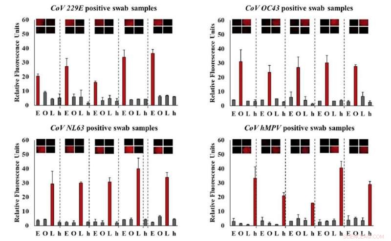 On‑Site Detection of Respiratory Viruses, Including SARS‑CoV‑2, Made Simple with Innovative Nanofilm Technology