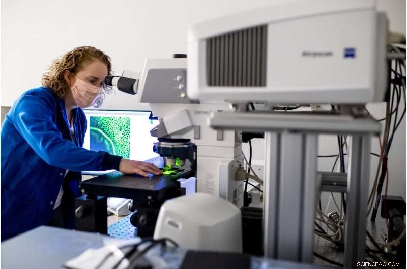 Innovative Nanosensor Enables Real-Time Brain‑Body Communication Imaging for Neurological Disease Diagnosis and Treatment