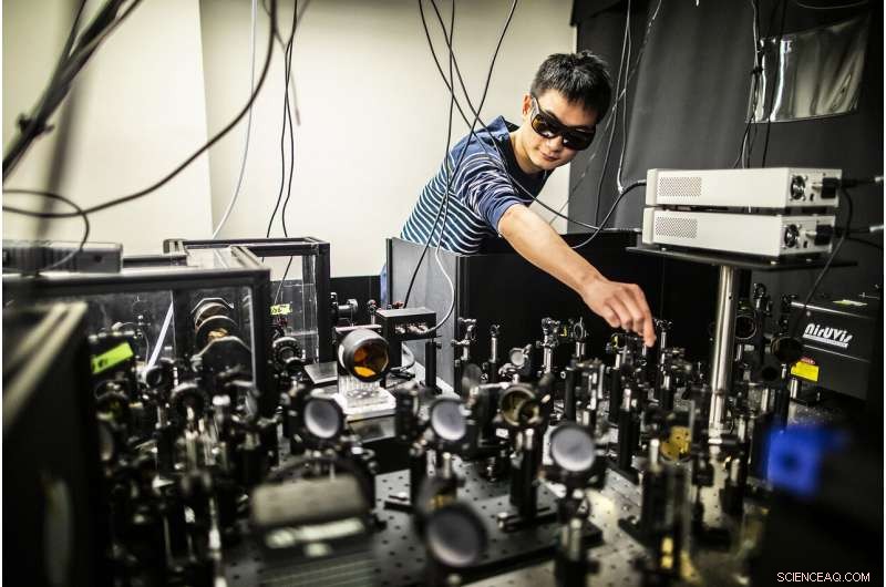 Study Reveals Tiny Strain Controls Magnetism in Atomically Thin Semiconductor