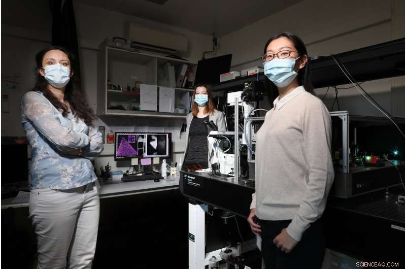 Scientists Reveal Liquid-Phase Mapping of Defects in 2D Crystals