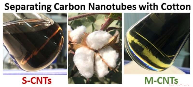 Cotton Wool Effectively Separates Single-Wall Carbon Nanotubes, Enhancing Purity