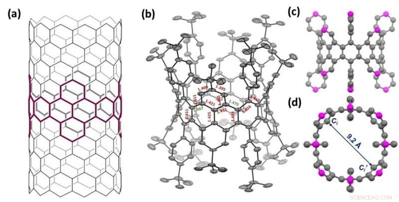 Scientists Successfully Synthesize Zigzag-Edged Carbon Nanobelts, Solving a Long-Standing Challenge