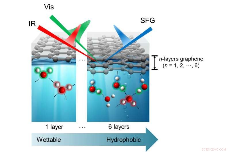 Unveiling Graphene Layer Wettability at the Molecular Scale