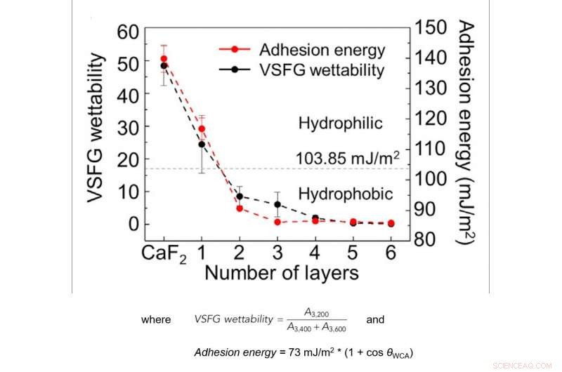 Unveiling Graphene Layer Wettability at the Molecular Scale