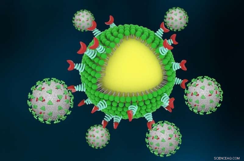 Innovative Nanotraps Developed to Capture and Eliminate SARS‑CoV‑2