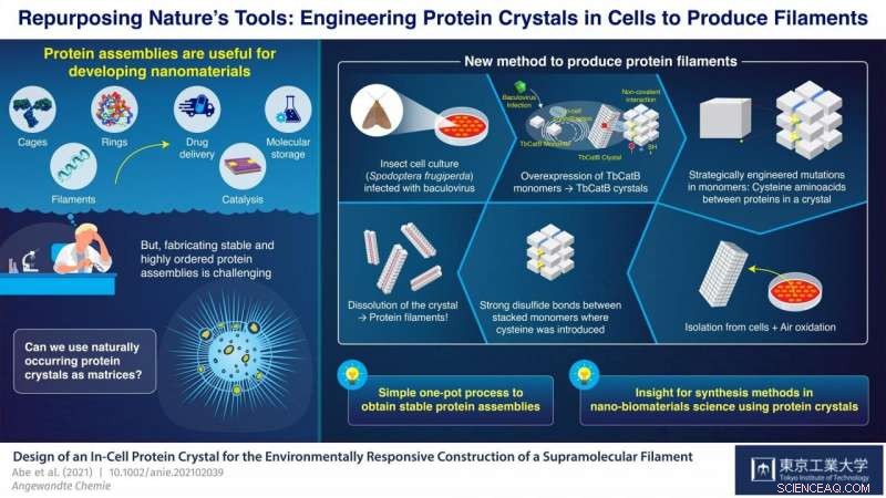 In-Cell Nano 3D Printer Creates Stable Filaments from Protein Crystals