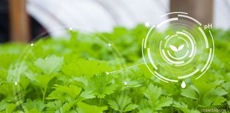 Tiny Nanotechnologies Set to Revolutionize Agriculture